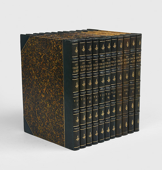 The Orchid Album, comprising coloured figures and descriptions of