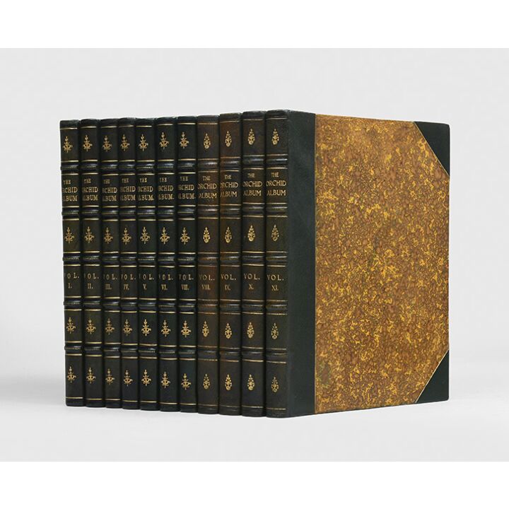 The Orchid Album, comprising coloured figures and descriptions of