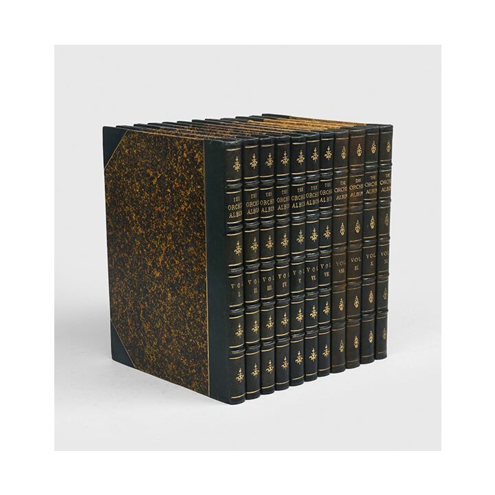 The Orchid Album, comprising coloured figures and descriptions of